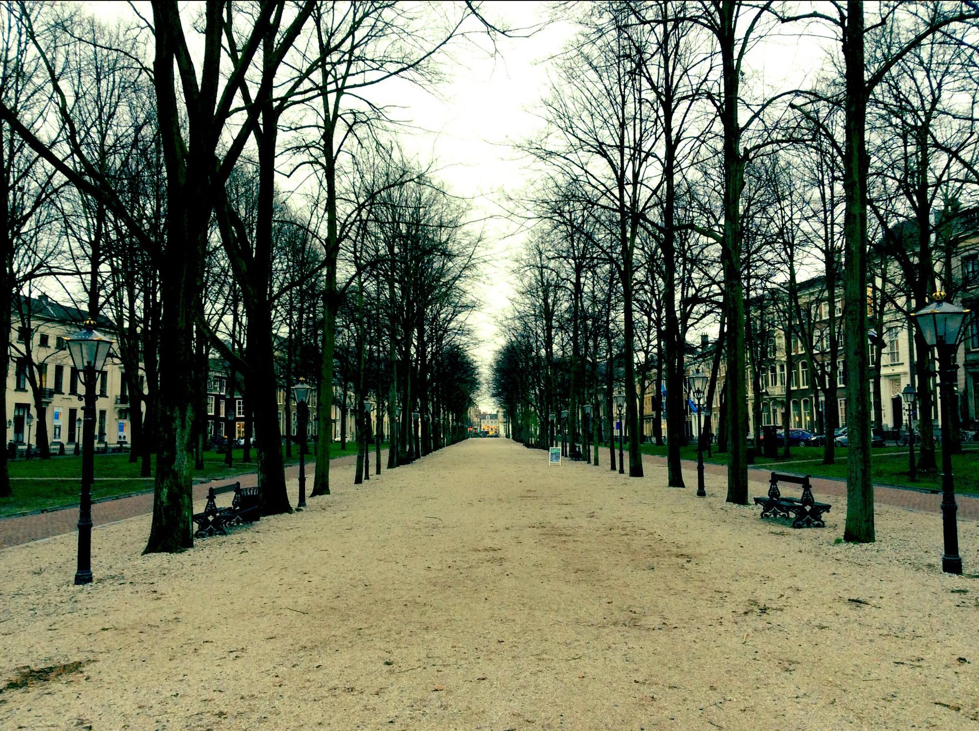 Lange Voorhout.jpg